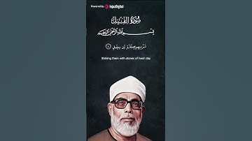 صوت كالذهب الخالص | صوت الشيخ محمود خليل الحصري سورة البينة #الحصري  #quran