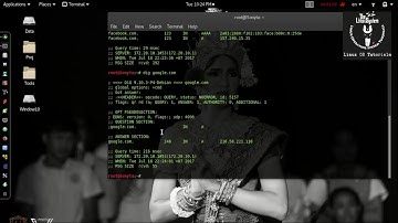 Dig - Web Information Gathering on Kali Linux [HD] ✔
