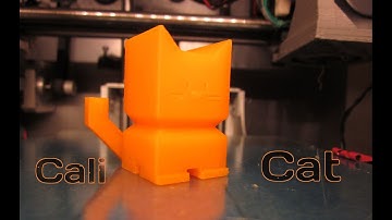 Solidoodle 2 Pro Timelapse - 3D Printing Cali Cat