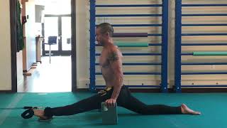 Straddle Front Lever Negative