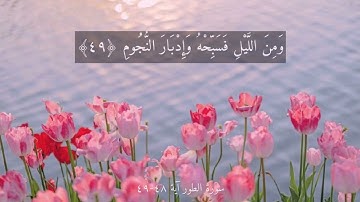 سورة الطور آية ٤٨-٤٩ بتلاوة ماهر المعيقلي 🤍.