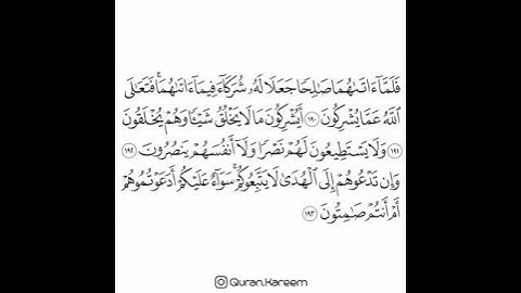 #ماهر_المعيقلي,  سورة الأعراف - من الآية 190 الى الآية 193