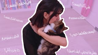 Things you should know before you get a cat | when we feed them ?