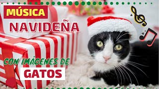 MÚSICA NAVIDEÑA CON GATOS - Dance of the Sugar Plum Fairy ♪ ♫ by LINA CAT 323 views 2 years ago 2 minutes, 7 seconds