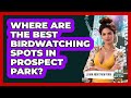 Where Are The Best Birdwatching Spots In Prospect Park? - Learn About New York