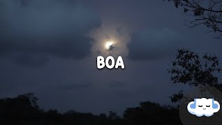 Megan Thee Stallion - BOA (Clean - Lyrics)