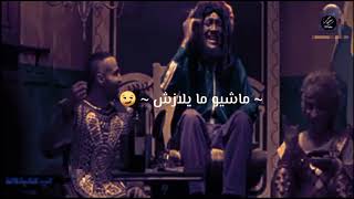 حاله واتس مهرجان قاعدين يلا وشاربين شواحه ابوكمال