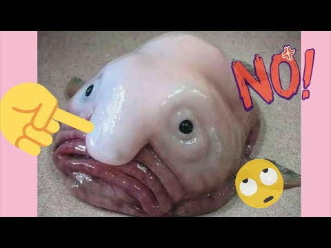 قدوم رمضان مرتين في سنة 2030 28 حقيقة ممتعة و غريبة ايضا