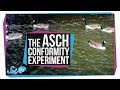 Understanding Conformity: Insights from Asch's Experiments