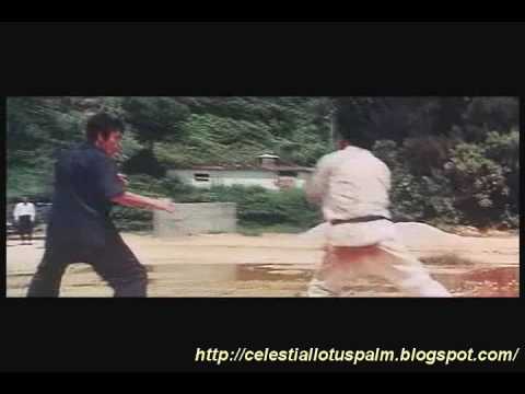 Bruce Lee Vs Bob Wall & Hwang In-Shik