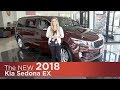 New 2018 Kia Sedona EX - Minneapolis, Brooklyn Park, Elk River, St Paul, St Cloud MN | Review