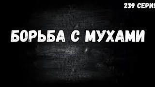 Травлю мух в свинарнике новым средством / агита не справляется