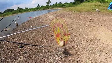 Câu cá dã ngoại Bà Rịa| Hồ Lồ Ô - Câu siêu cảm giác với con cá hơn 3kg