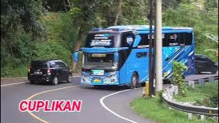 Mobil bus telolet bukit berbunga