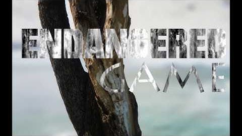 Photo-realistic Photogrammetry - Unity