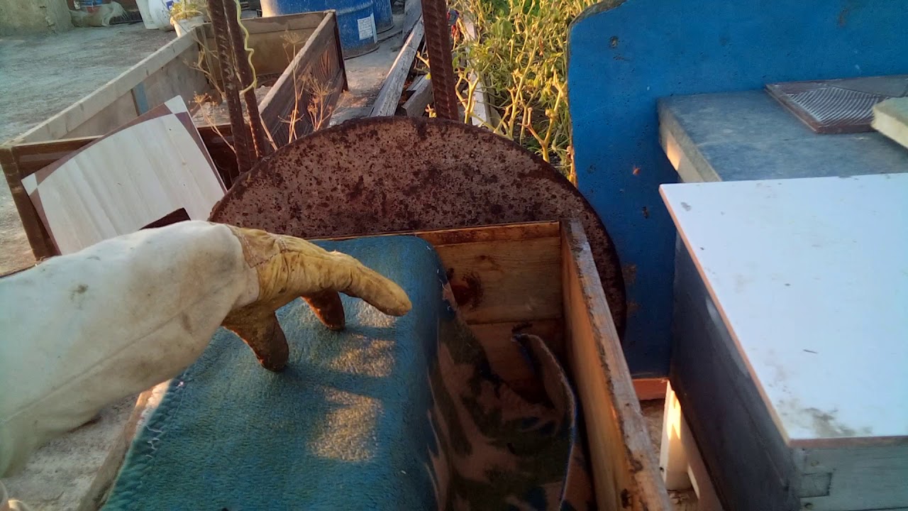 تشتية النحل عمل بسيط تقوم به توفر الدفىء للنحل و تساعده في الحفاظ على مخزون العسل و تقضي على الرطوبة