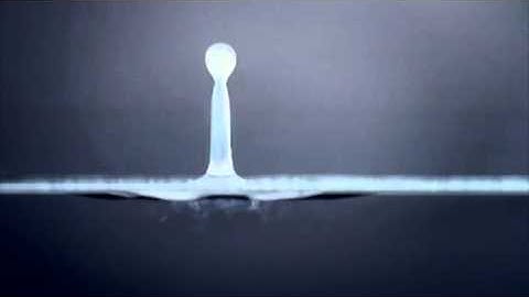 BBC.Invisible.World.Water Strider.Martin Ball