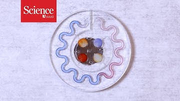 Sensors for your sweat