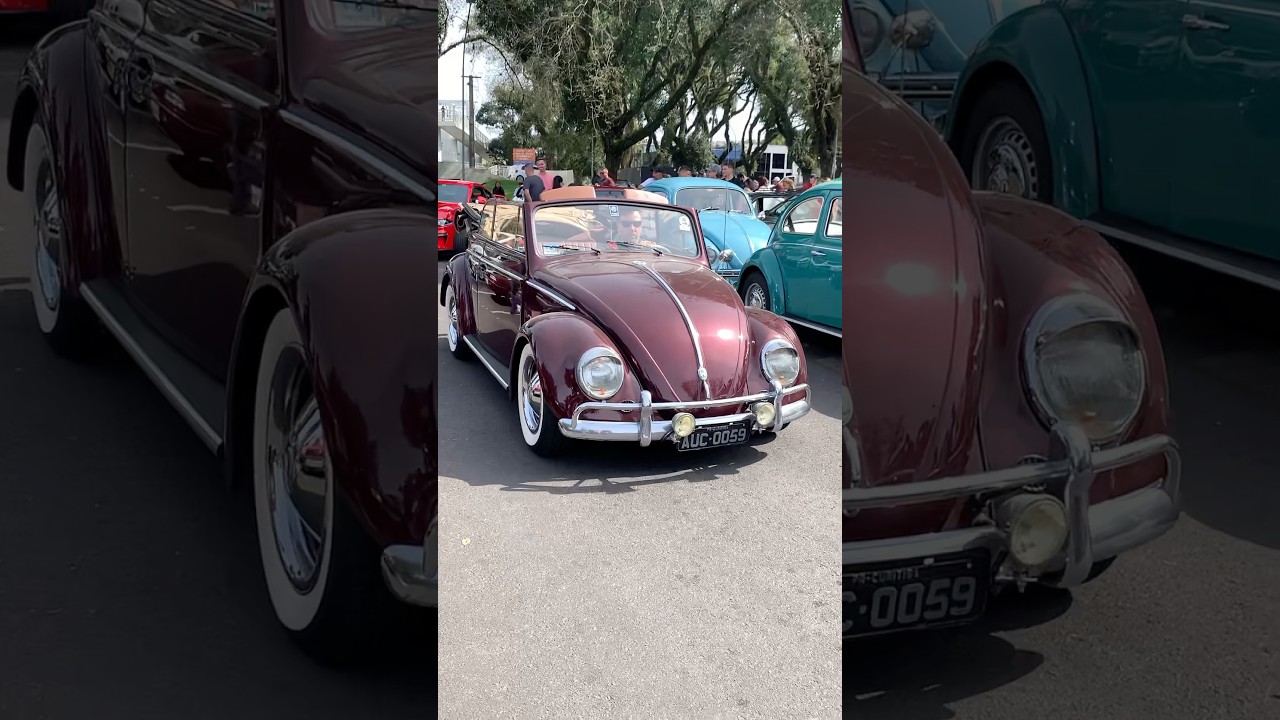 Fusca em encontro de carros antigos e clássicos em Curitiba!