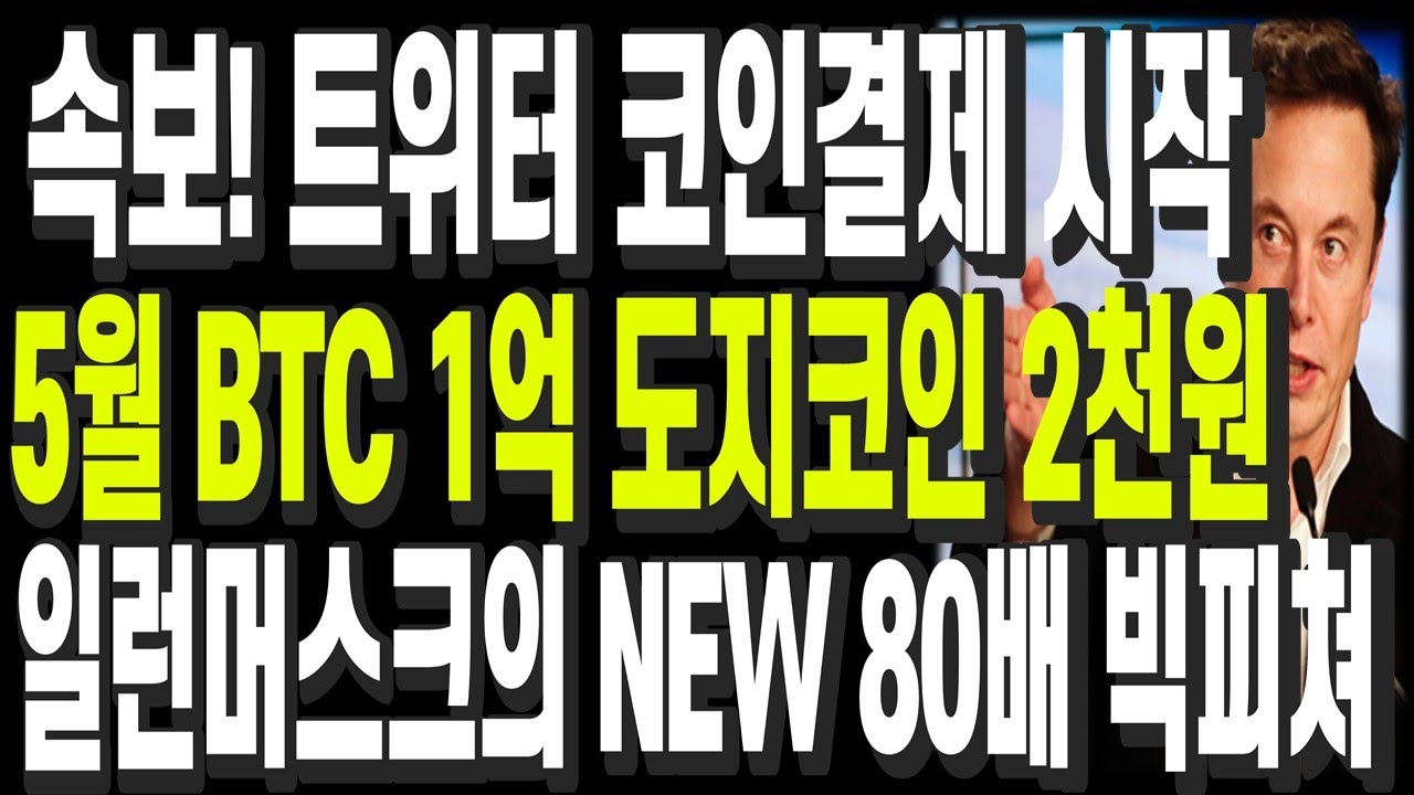 비트코인 리플 도지코인 이더리움 속보! 트위터 코인결제 시작 5월 BTC 1억 도지코인 2천원 일런머스크의 NEW 80배 빅피쳐 -  YouTube