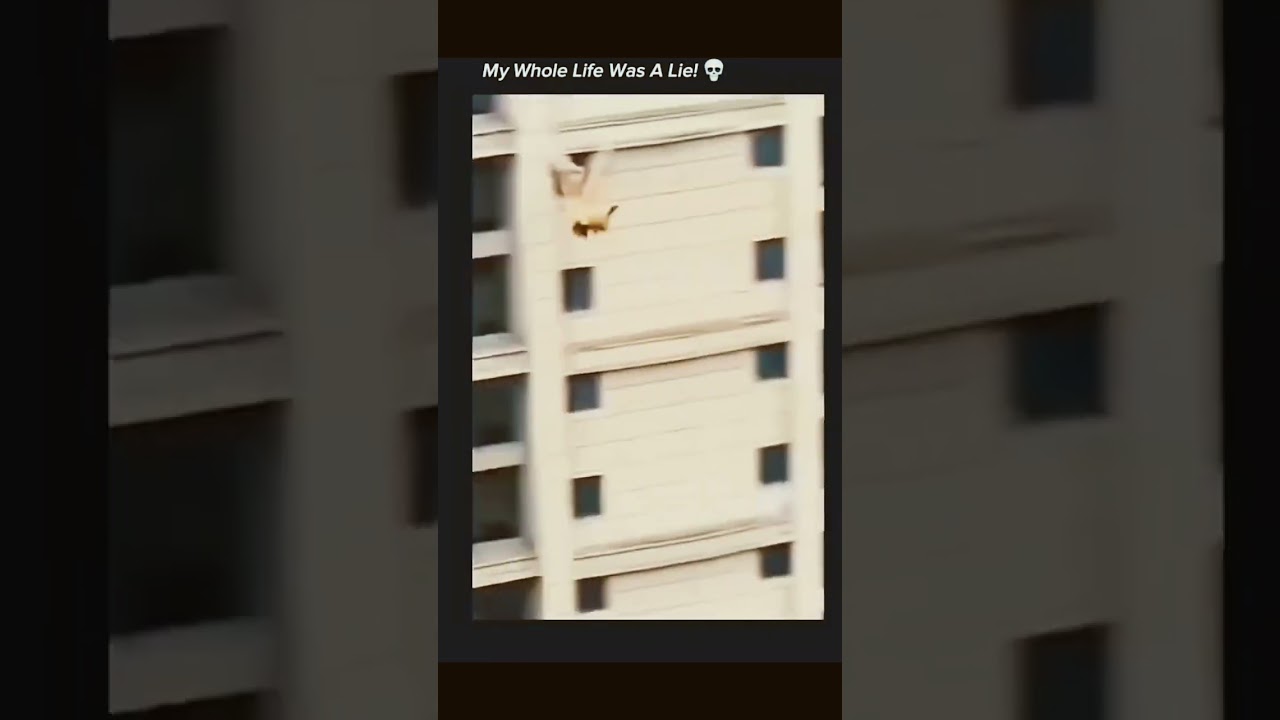 my whole life was a lie 