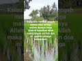 30 Desember 2025