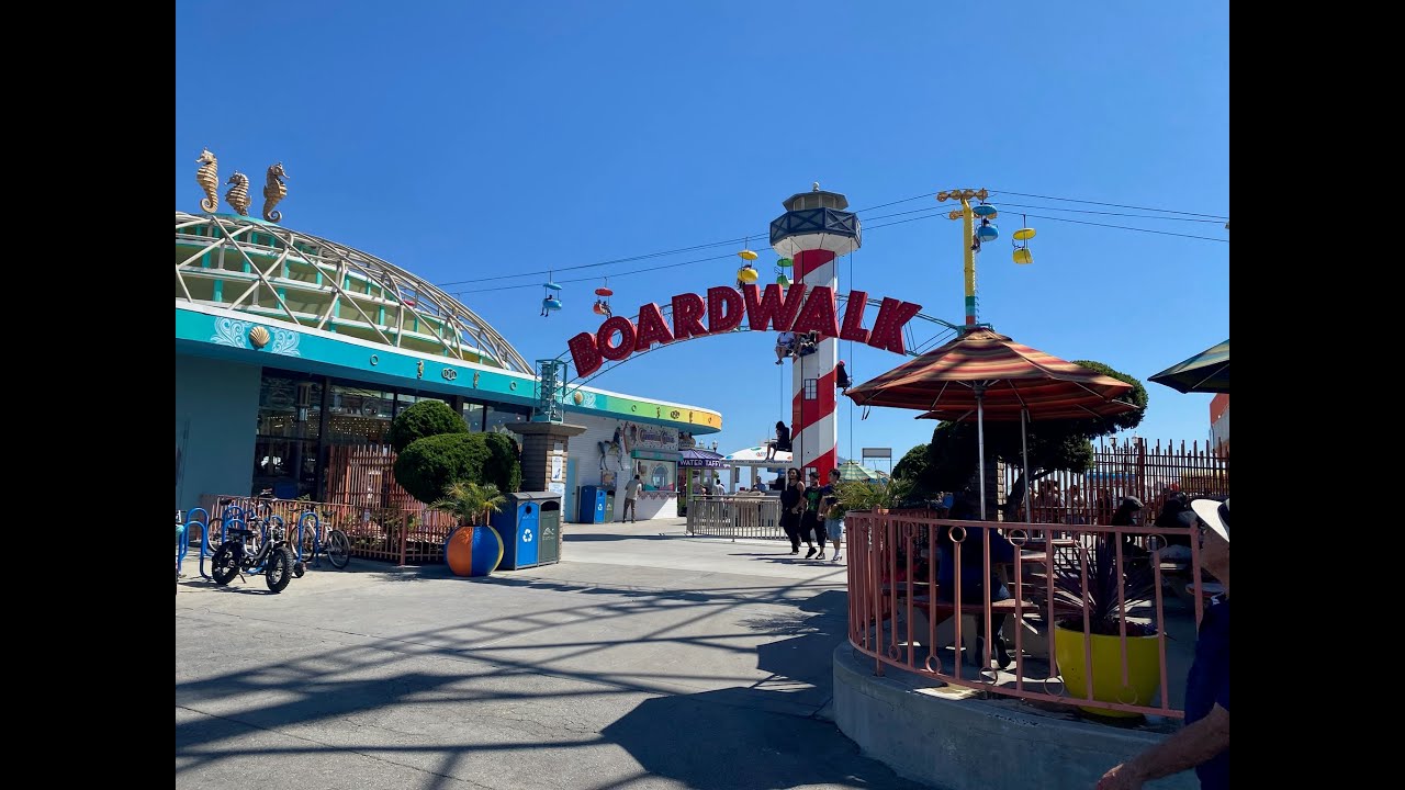 COOKIE OR COCONUT?? Santa Cruz Vlog!!