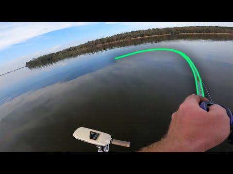 Bass Fishing Lake Seminole - Big Bag