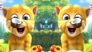 Talking Tom Eating 🐈🐟 🍰🍌🍆🥑🍍🌽🥕🍬🍄🥝🍞🥔🍊🍉