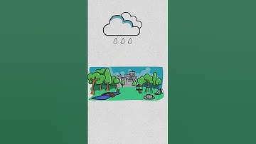 VÌ SAO CẦU VỒNG XUẤT HIỆN SAU CƠN MƯA MÙA HÈ #kienthucthuvi #kiến_thức #thú_vị #shorts