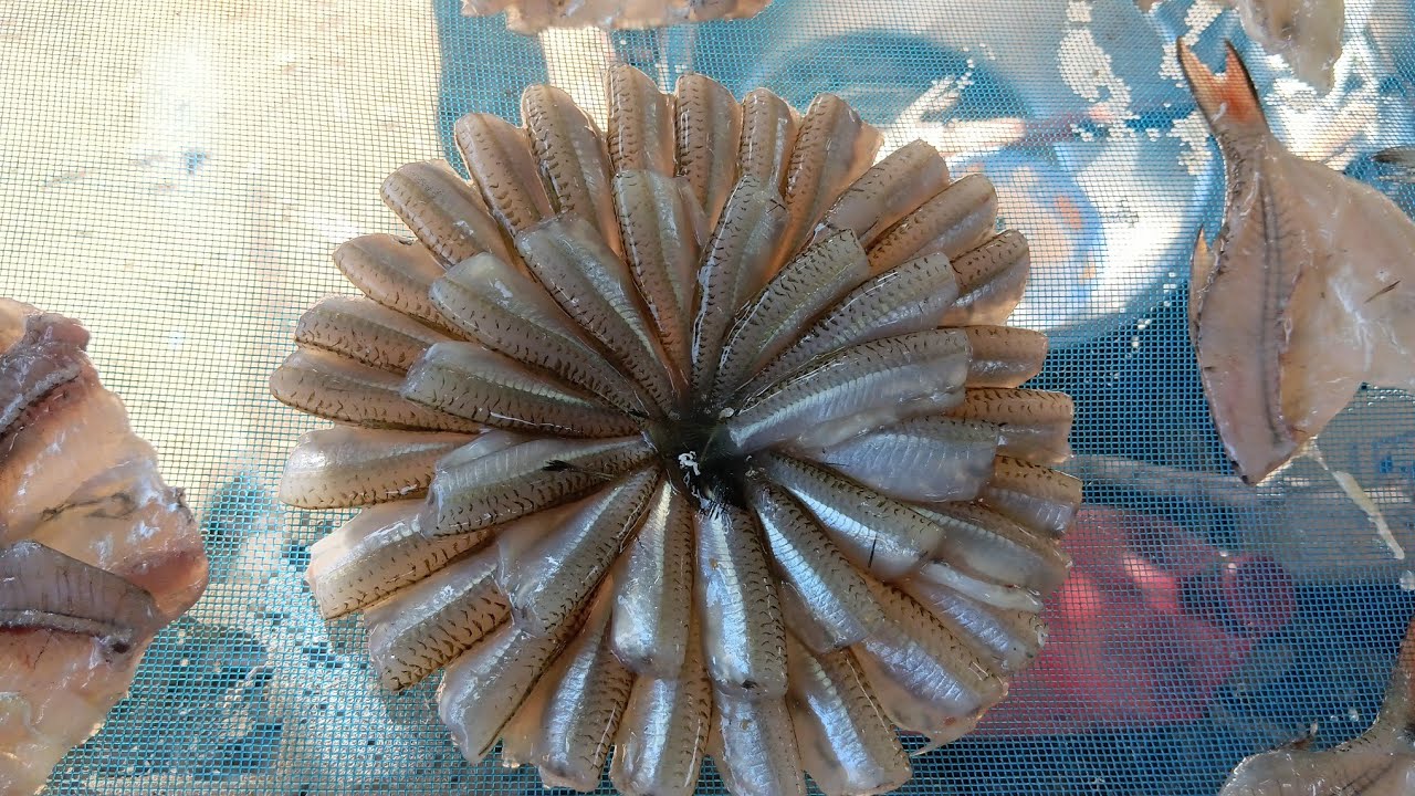 มาดูน้องหญิงทำปลาวง ส่งให้น้องชายที่ทำงานต่างแดนกันจ้า