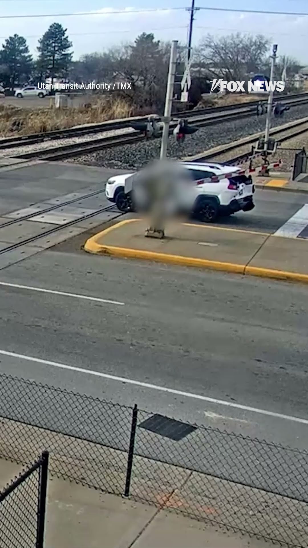 Driver quickly escapes before train slams into car