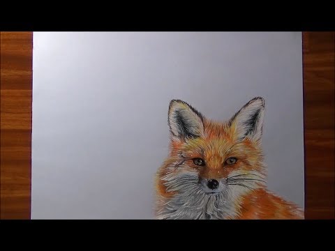 Cómo pintar el pelaje de un ZORRO u otro animal | PatrickART