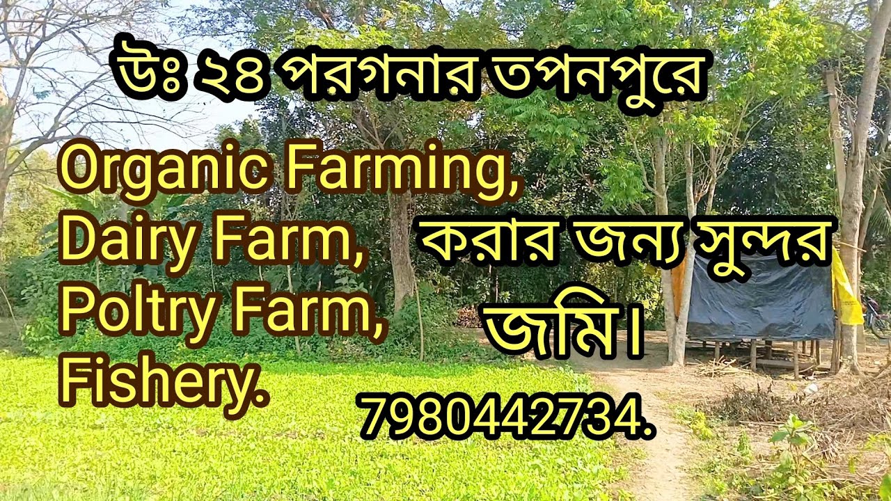 Farming Land for Sale (তপনপুর , নীলগঞ্জ বেলে শঙ্কর পুর রোডের কাছে).