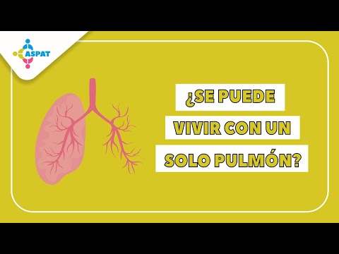 Video: ¿Podrías vivir con un solo pulmón?