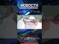 Умирать от инфаркта миокарда и болезней системы кровообращения стали меньше в Ростовской области