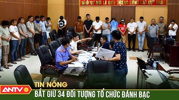 Triệt phá đường dây cá độ bóng đá online hơn 350 tỷ đồng | ANTV