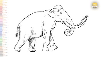 Mammoth drawing tutorials | How to draw A Mammoth step by step | Elephant drawing tutorials