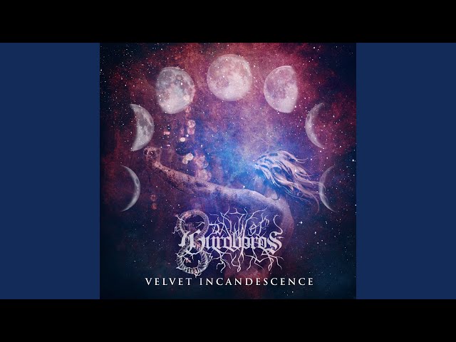 Dawn of Ouroboros - Levitating Pacifics