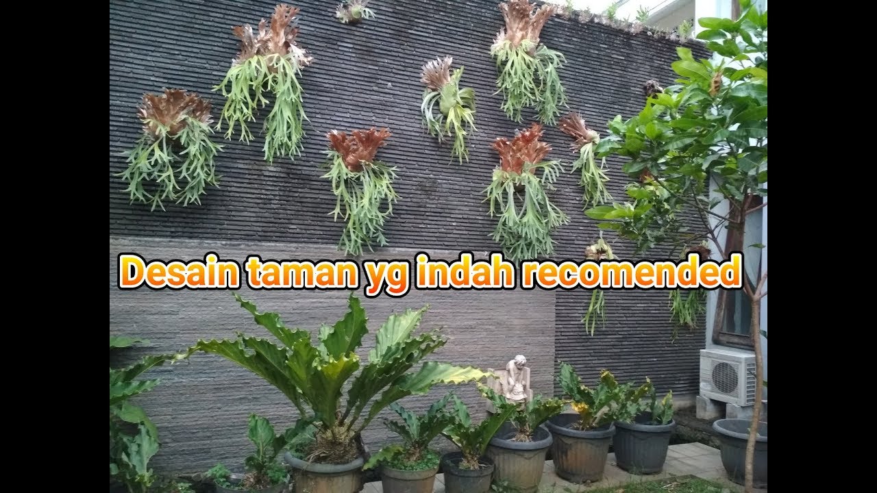 Contoh desain  taman  yg indah YouTube