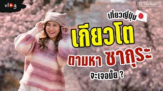 Vlog เที่ยวเกียวโต ตามล่าหาซากุระ เช่ารถขับเที่ยวญี่ปุ่น | Tiewjourney screenshot 1