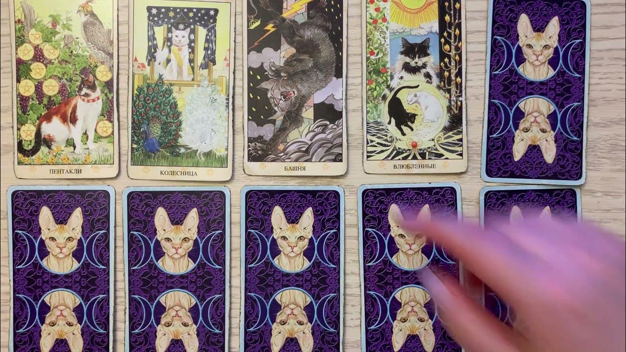 Таро расклад овна на апрель. Meow Tarot.