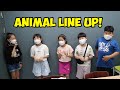 Animal line up  the fun game kids will love