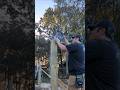 Notching Posts Flex Inline Saw #shorts #flextools #flexinlinesaw #tools #postnotch #carpentry