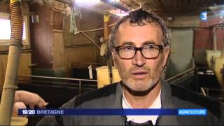 Crise de l'élevage : reportage en Bretagne