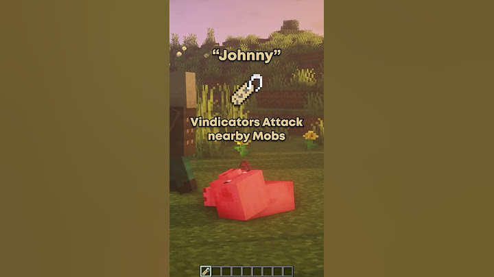 Minecraft NAME TAG Tricks!