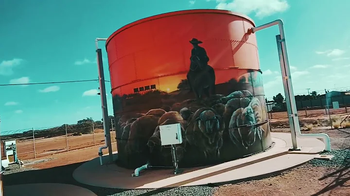 Northern Goldfields,             SANDSTONE                            Western Australia.