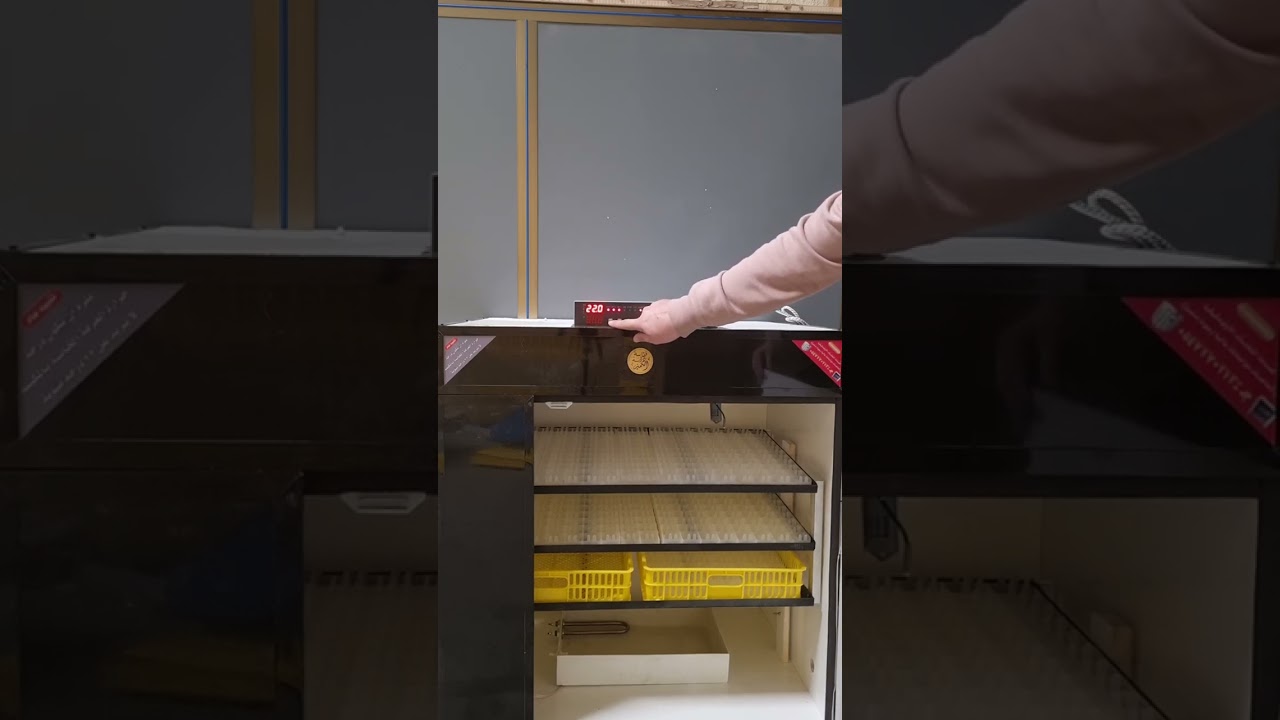 برمجة فقاسة دانه التميز مقاس 580