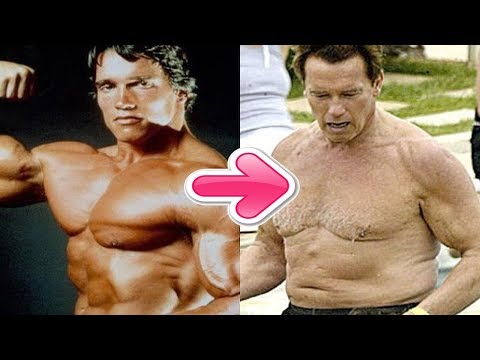 터미네이터★ 아놀드 슈왈제네거의 1세~70세 변화과정