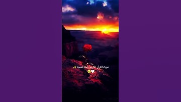 استمع الى القران الكريم راحة نفسية ✨🤍🥹 #اكسبلور #لايك